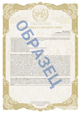 Образец Приложение к СТО 01.064.00220722.2-2020 Чернушка Сертификат СТО 01.064.00220722.2-2020 